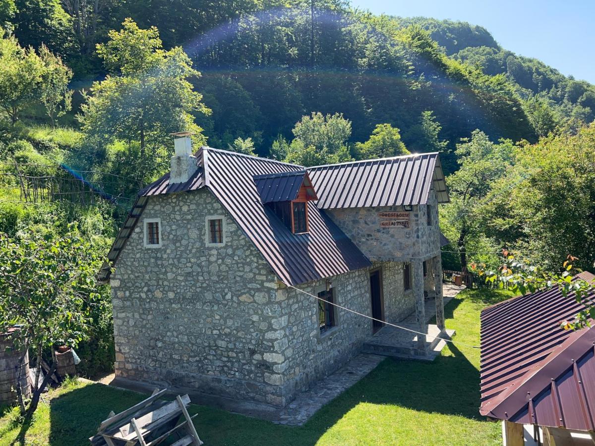 Guest House Gjelaj Тети Экстерьер фото